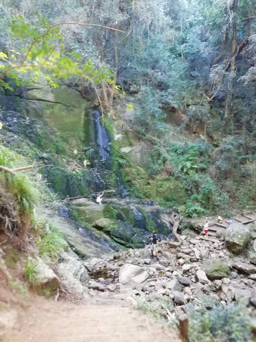 Had a lovely hike at kirstenboch my fav place on earth bump enjoyed the nature https://t.co/kiBv63ou