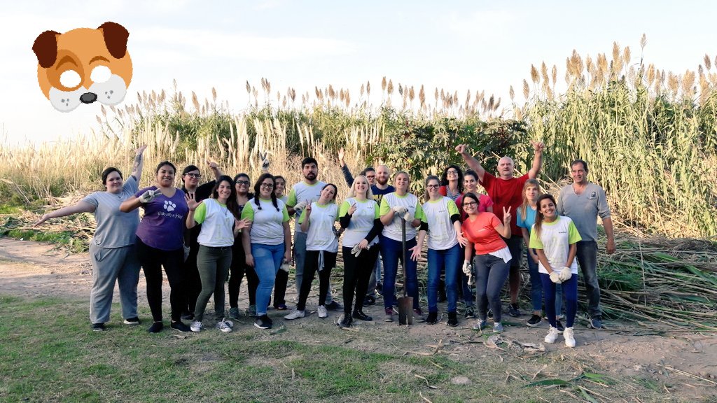 JeronimoCello's tweet photo. ¡¡Realizamos el primer #Cleanupchallenge del año en @Accenture_AR ayudando al refugio #LosPerritosDelPalomar!! Gracias a los 20 voluntarios 💪 que limpiaron este espacio donde hoy cuidan a +130 perros. 🙋‍♂️🙌 #MakingADifference https://t.co/wDQpmX9RJT