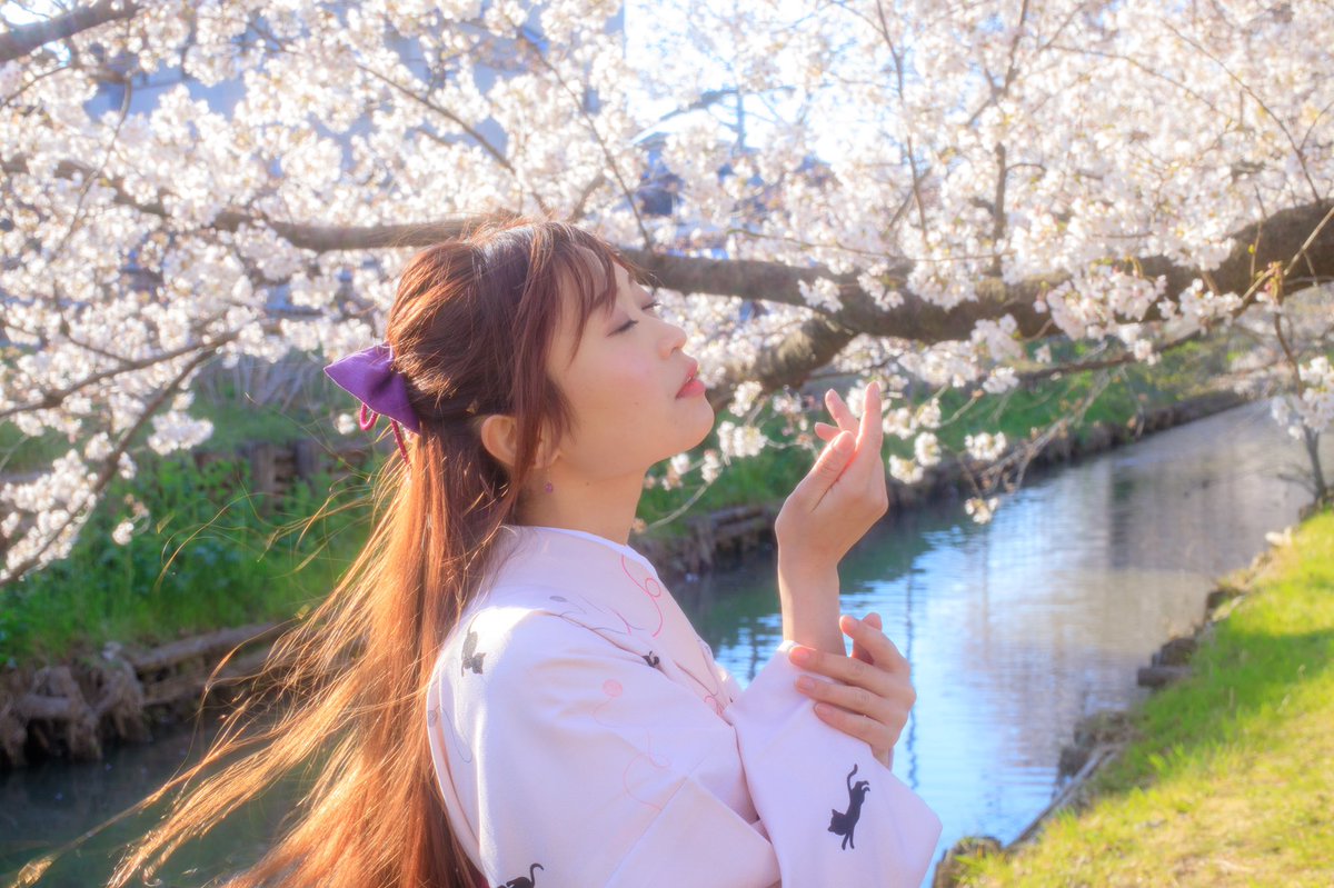 かざまっくす𝕏 tweet media