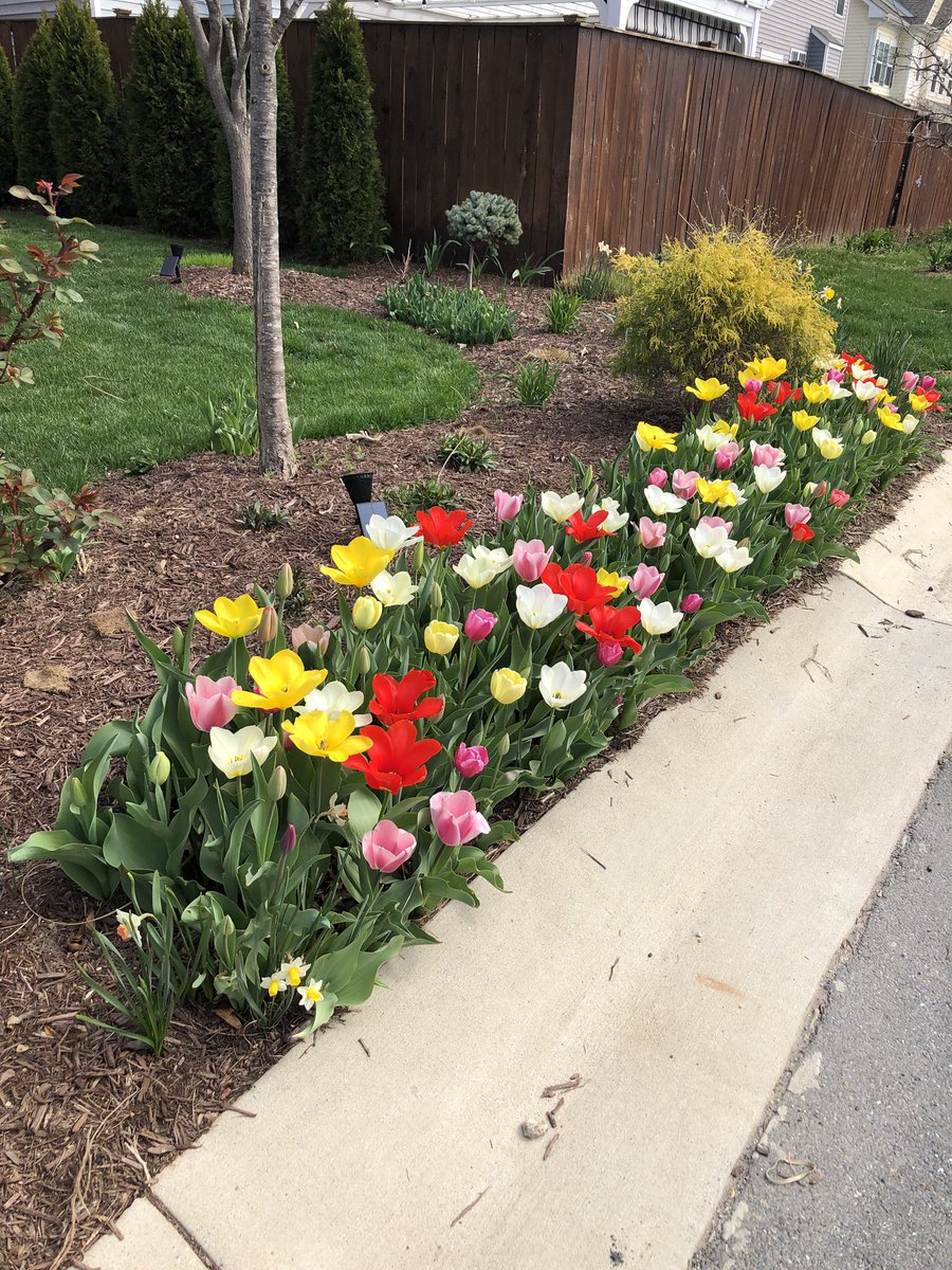 FriendsofFGMH's tweet image. Happy Spring Sunday!