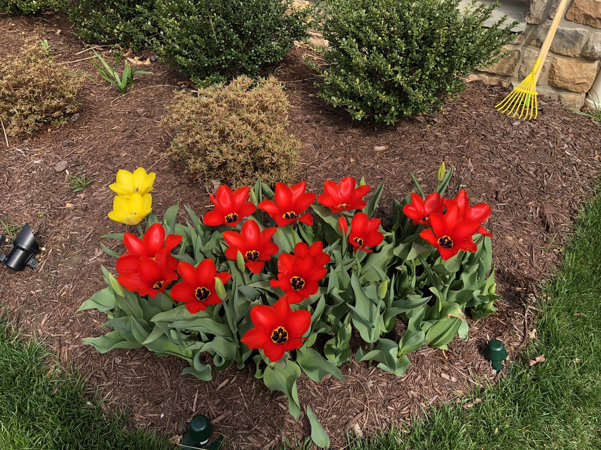 FriendsofFGMH's tweet image. Happy Spring Sunday!