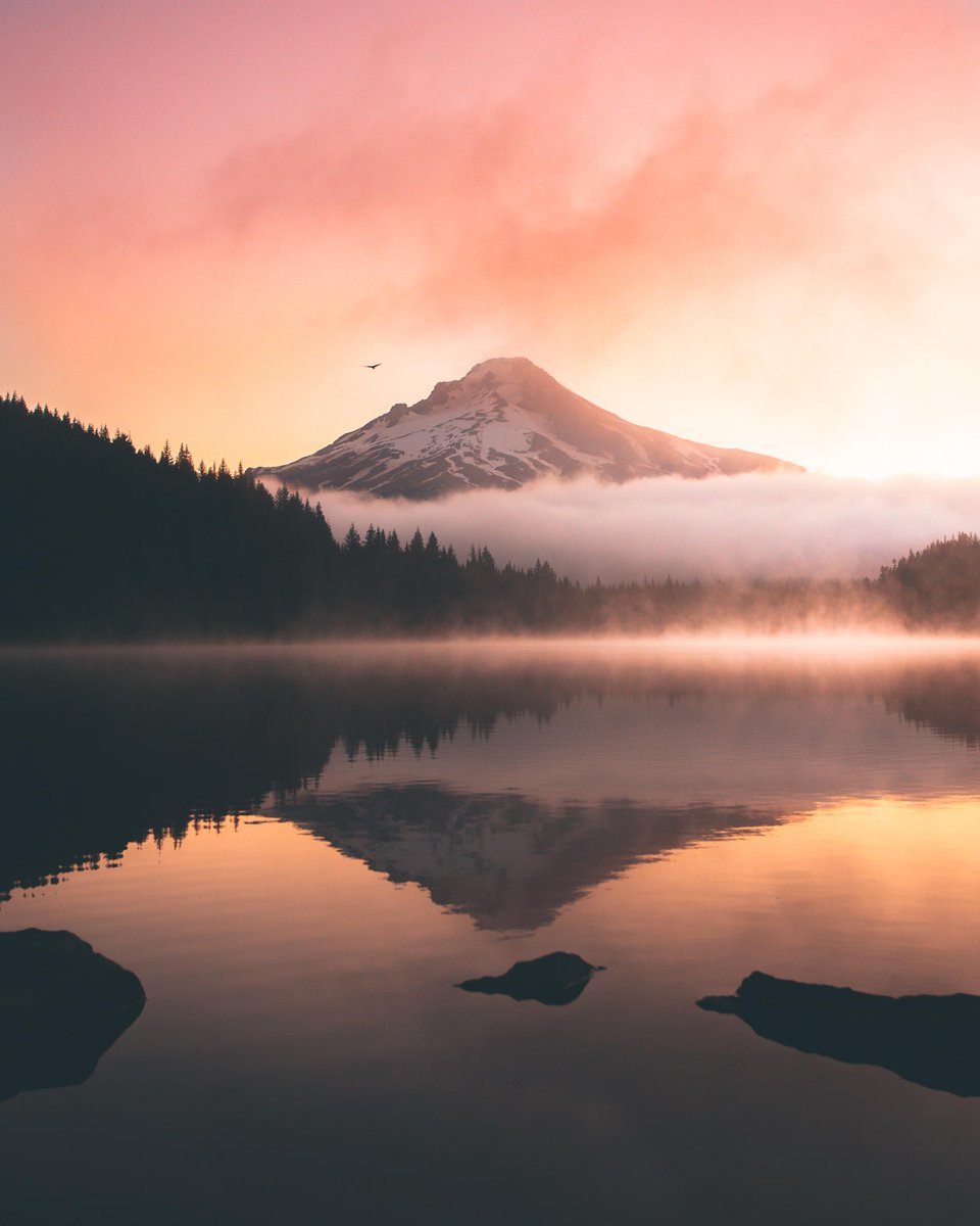 a colorful sunrise at Trillium Lake  3097 × 3871. From u/Codymayer22 on Reddit #trilliumlake3097×3871 #colorfulsunrise