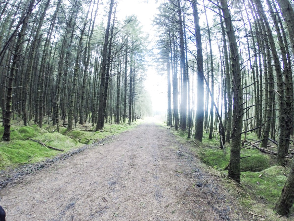 north_velocity's tweet photo. Keep'er Cam Half Marathon &amp; 10K takes place next Sunday 14th April 2019, we would advise booking Monday the 15th April off work to recover #KEEPERCAM #NORTHERNVELOCITY #DONTDOEASY #ANNUALLEAVE https://t.co/45pJ7hyKxA