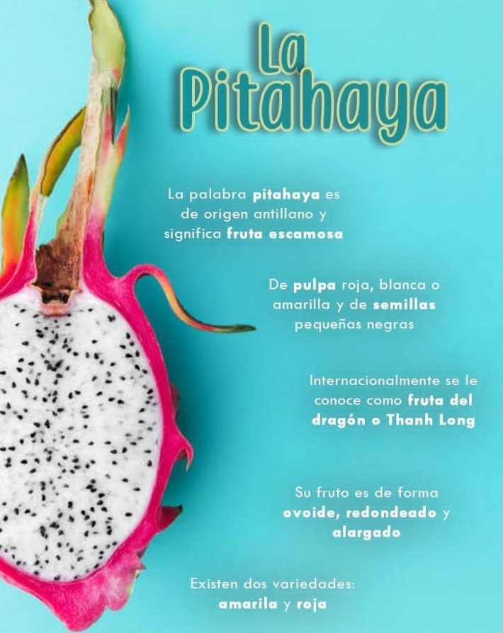 Nochtli3's tweet photo. #FelizDomingo #ArribaLaPitahaya #DragonFruit https://t.co/bjue6zBAzJ