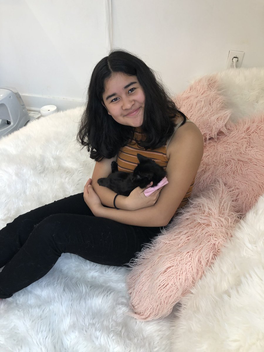 TheDCMoms's tweet photo. Mother daughter date to #kittenlounge @Crumbs_Whiskers pop up was a success. Check it out on M street in Georgetown for some sweet cuddles with adoptable kittens! #hosted https://t.co/suy6ka9UhH