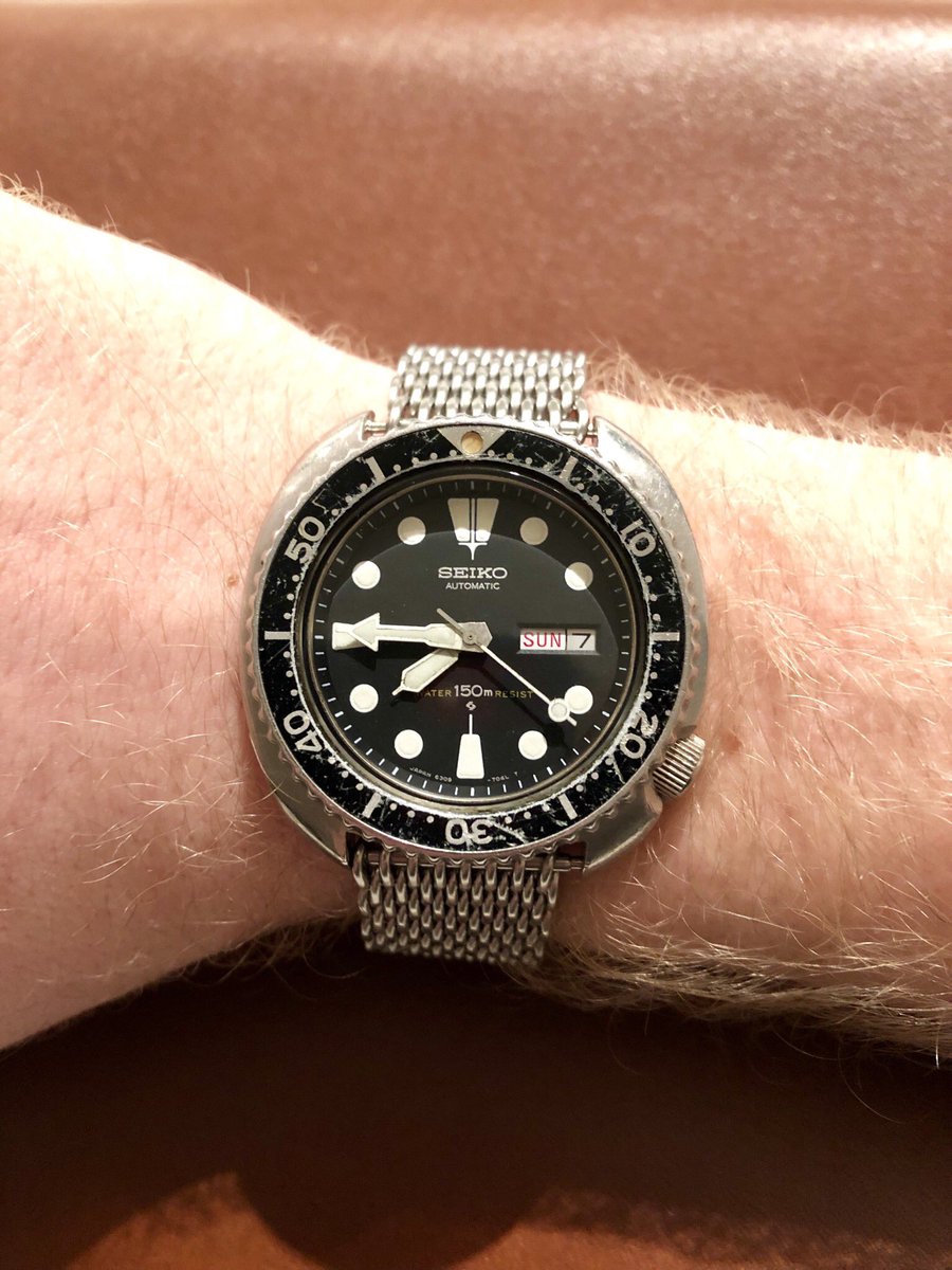 MrShepherdson's tweet photo. Turtle time! https://t.co/hqHL8PA80Q