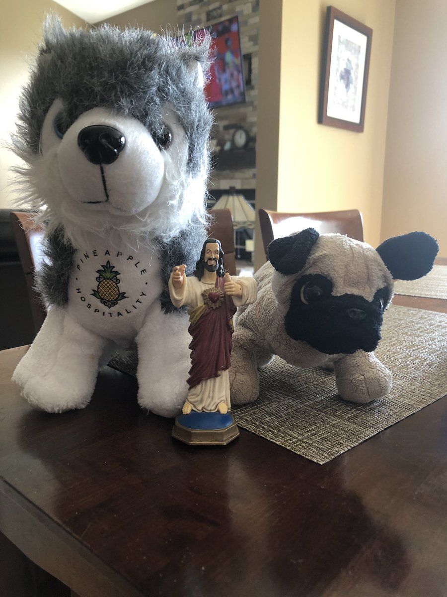 duzytato's tweet photo. Travel buddies assemble. #elive19 Joining Pudgy and BuddyJC is Dash who kept me company last year in San Diego at #elive18 at Hotel Z. https://t.co/RTqb0cFWK3