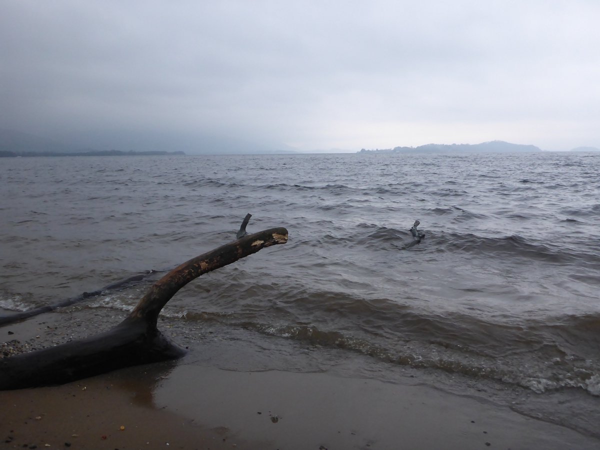 greginthewater's tweet photo. Another double dip weekend in  #lochlomond with Sunday at Duck Bay with some wind chop for a change. So much fun playing in the waves for a 20 minute or so skins swim under the grey sky. @lovelochlomond @lomondtrossachs https://t.co/qArVn736ul