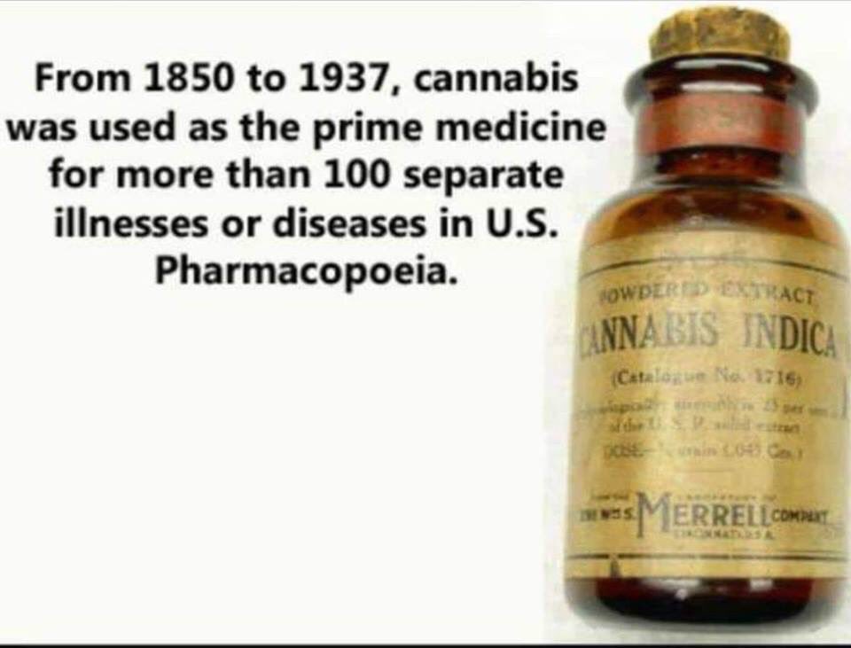 TheGreenDailyy's tweet photo. Hmmm..I wonder what happened 🤔#staycrispy #cannabis https://t.co/qFQGpAy6o7