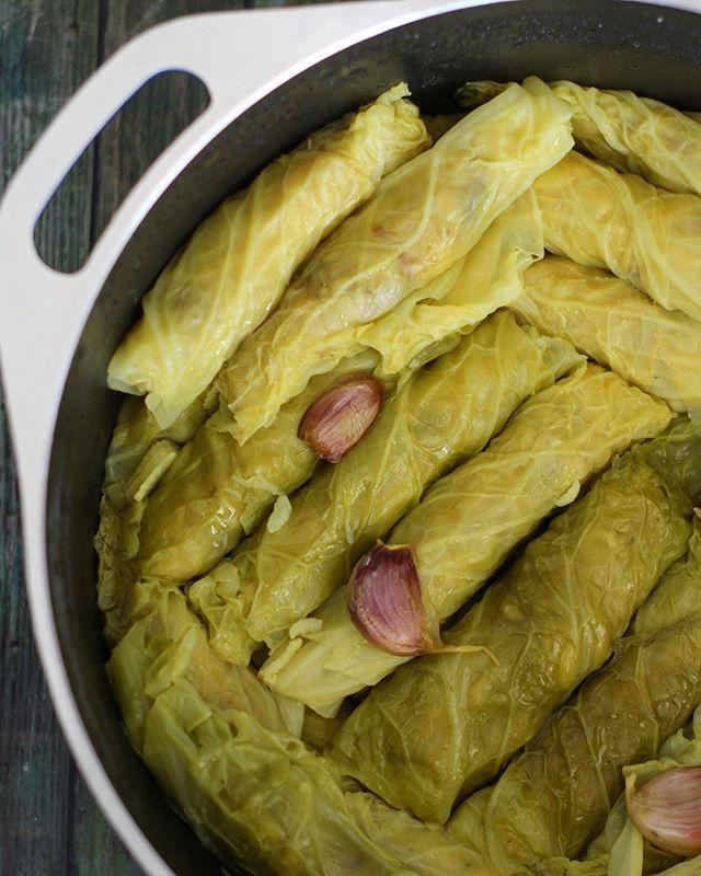 Dalalhalabi's tweet photo. Malfuf / Repollos rellenos 
Cosas que hago un sábado en la noche 
#aprilisforarabfood #malfuf https://t.co/MsaNZ6u7iB https://t.co/SLePE4PuvB