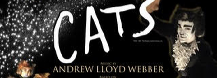 musicholocaust's tweet photo. #hpsdawesome Remember to purchase your tickets for the HHS production of CATS! https://t.co/wpXiWHgT4x