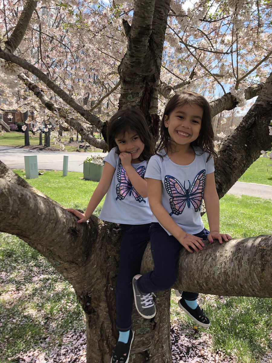 twinjamom's tweet photo. Beautiful weekend with my parents in Bedford. Kiddos played hard and I ran hard. Spring is my favorite πΈ ππ½ββοΈ #trainjanda #liveloverun https://t.co/7Hk2pUeQDC