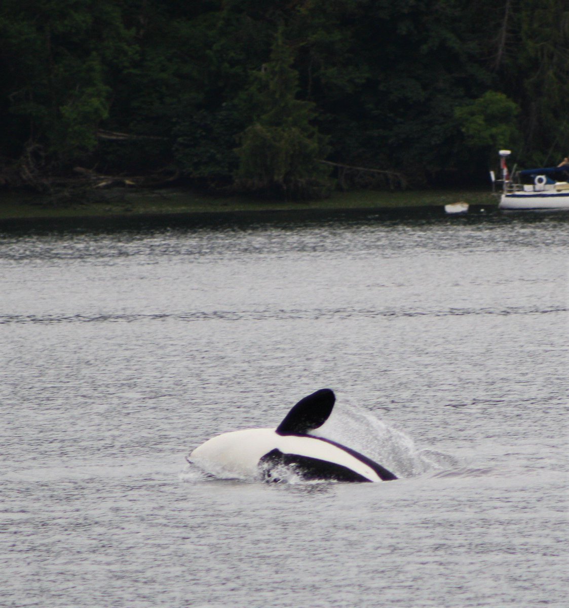 CVS Tours tweet media