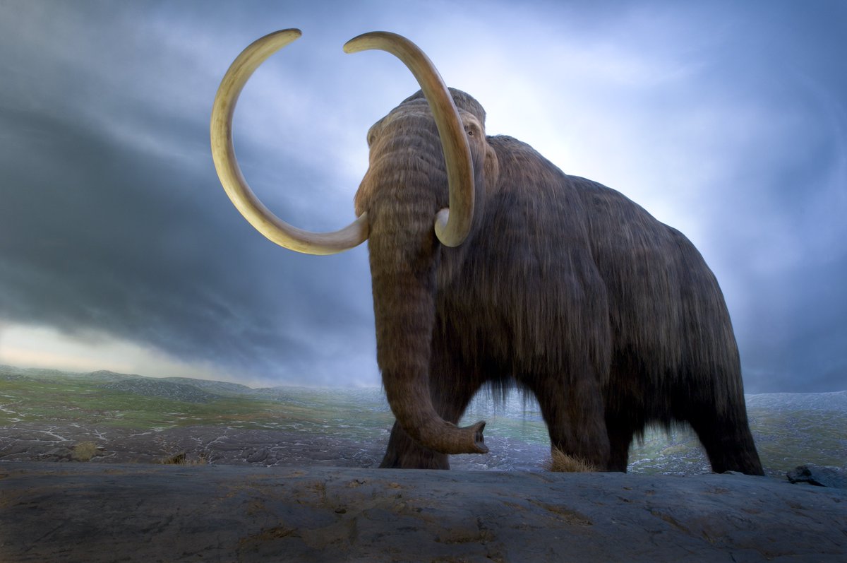 CVS Tours tweet media