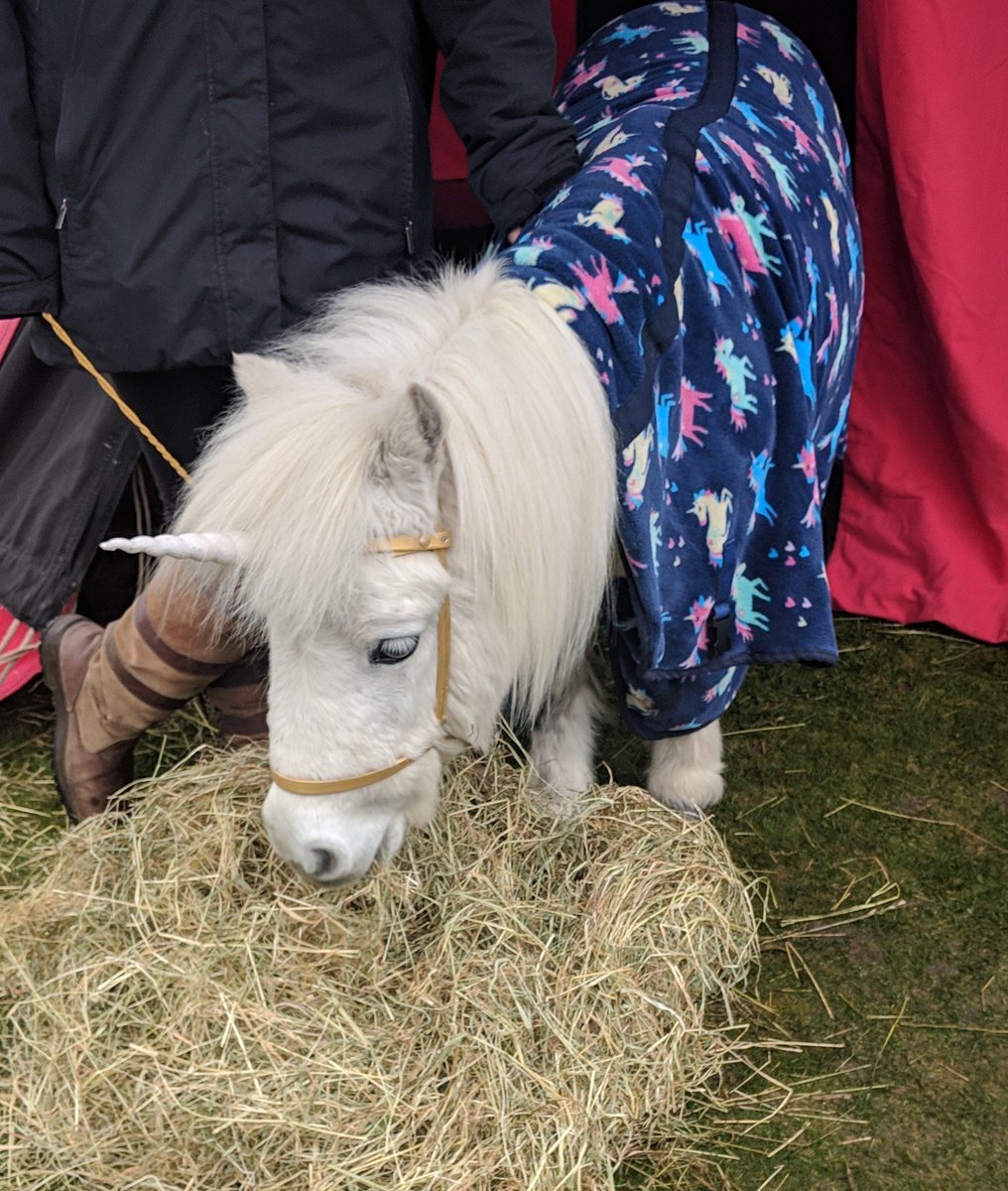 We went to check out some Unicorns today. #unicorns <a href="/stirlingcastle/">Stirling Castle</a>