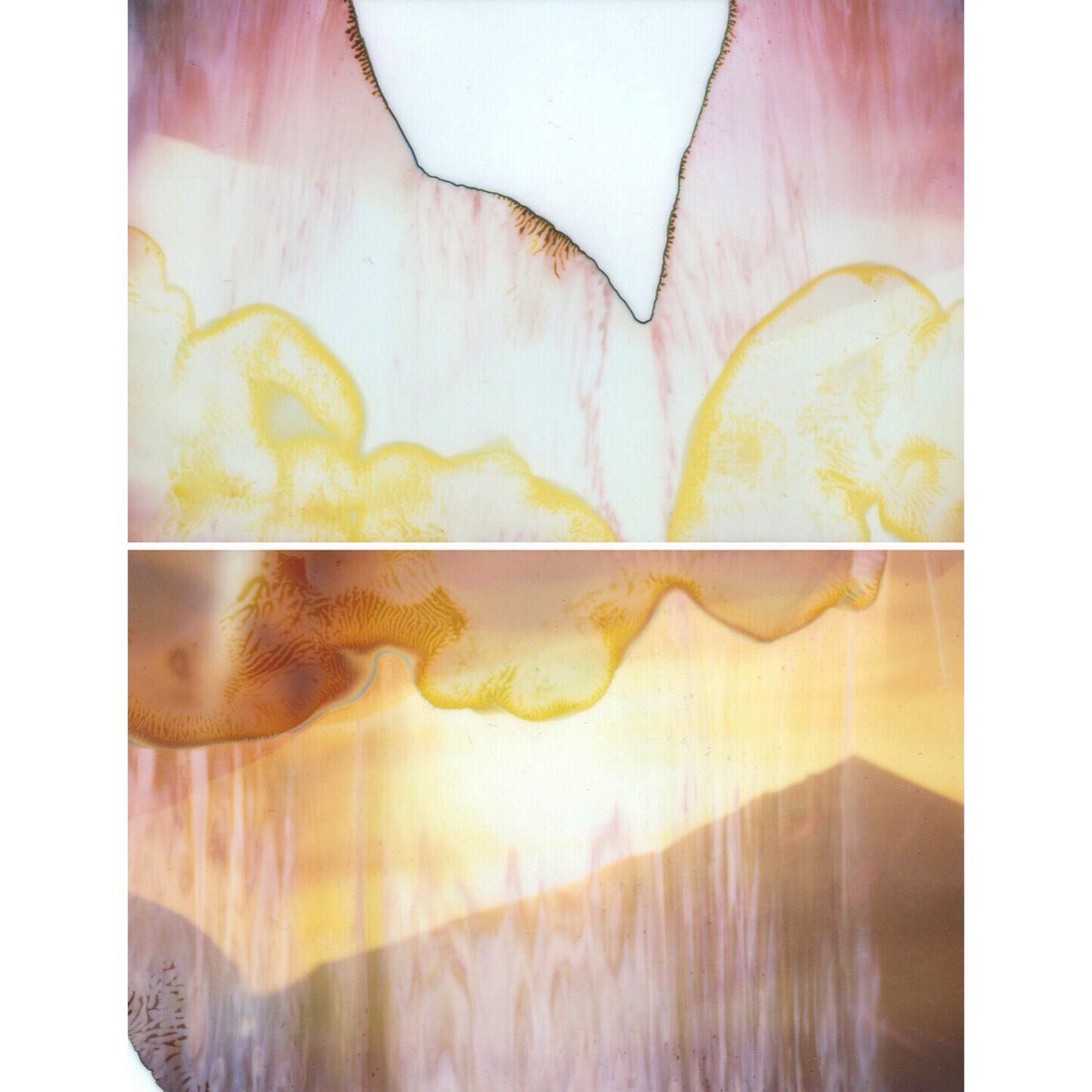 benprks's tweet image. #polaroid110 #fujifilm #instax