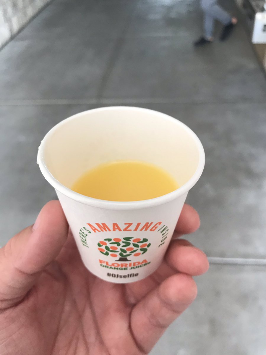 SunlakeBand's tweet photo. Just crossed back into the land of Publix, orange juice and humidity! Welcome back to Florida! #sunlake #funlake #wgi #dayton #OJselfie #chickentender #pubsub #ohthehumidity #mosquito #alligators #sunshinestate #sunpass https://t.co/QqVB3UNrFG