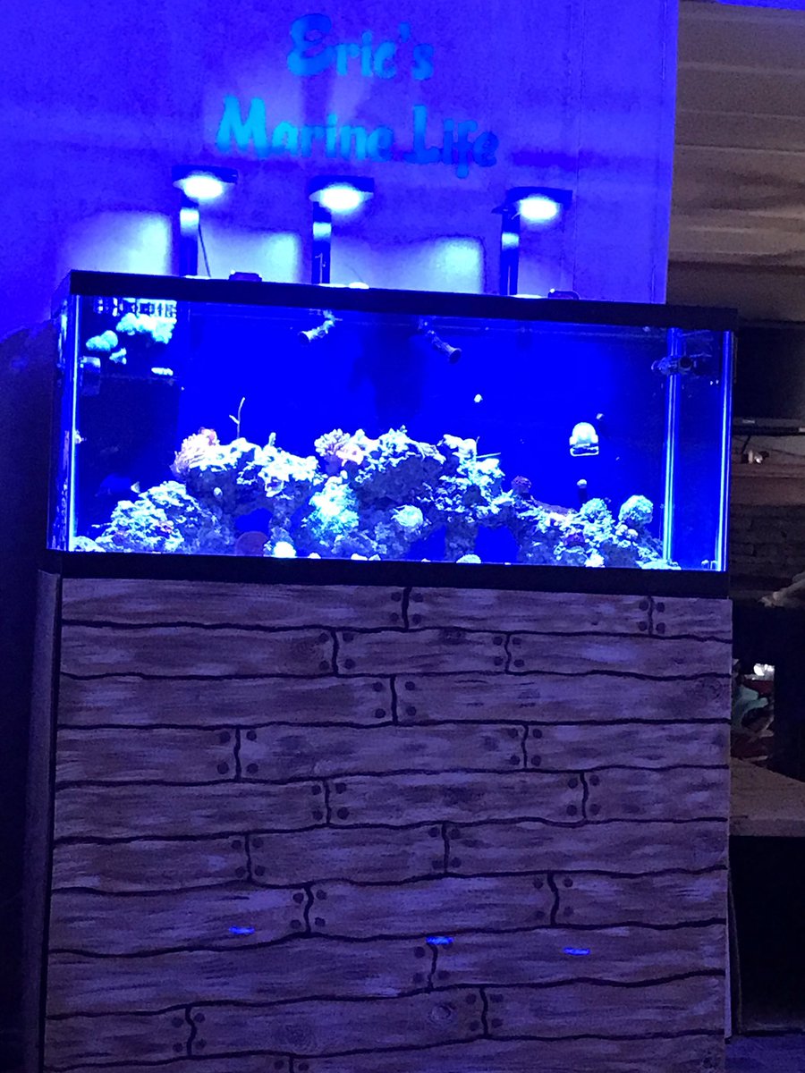 Ericsmarinelife's tweet photo. #ericsmarinelife #youtube #reef #oceanlife https://t.co/uY2I9uhMNp