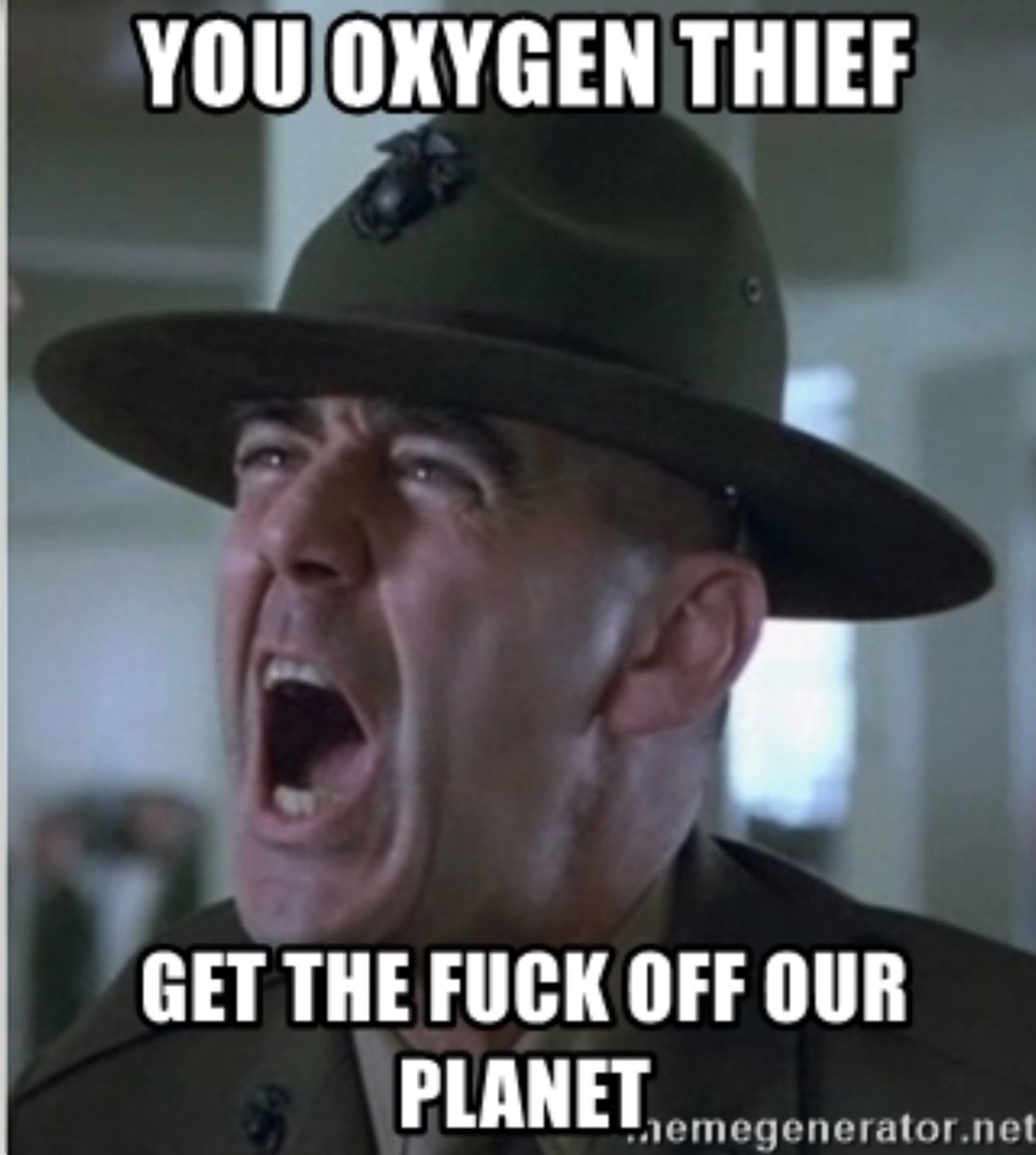 Gemma poole tweet media