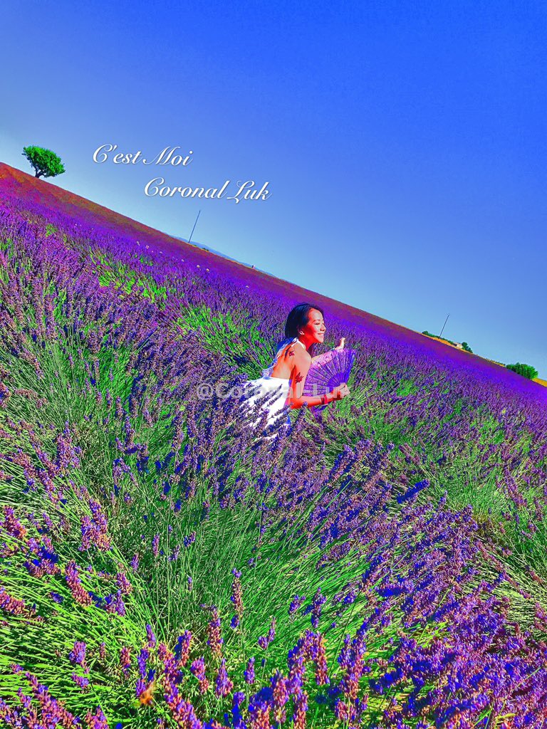 coronal_luk's tweet photo. 🇫🇷💜C'est moi❹❺❷
Je suis rentré à la maison,
c'est mon nouveau départ！
#Pourpre #Violet #Lavande
#LaProvence
 #LaFée #JeSuisGemini #BondGirl  #Queen #Déesse #Goddesses #LaFée #LaPetiteSirène #LaSirenetta #📍❤️  #ParistoLaProvence #JeAdore
 #冠一日為媽終身為辣 #FollowMePlease https://t.co/wAWhUaerm2