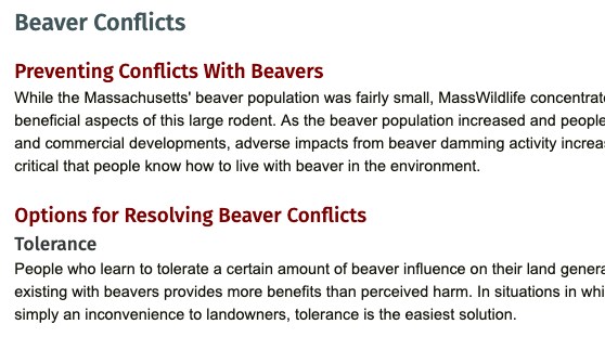 OurAmericana's tweet photo. Small town life is wild, guys. 
New episodes coming soon.
(Including one on beaver conflict resolution. Seriously.) https://t.co/ShjsOuxuf8
