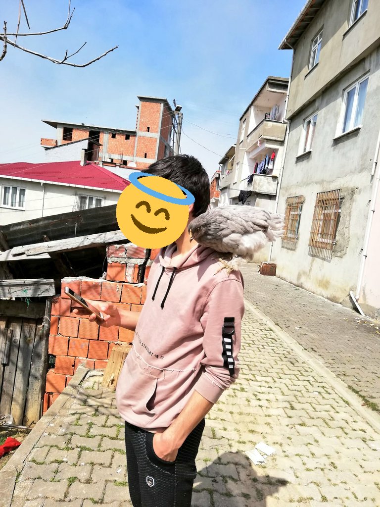 Umut84639080's tweet photo. @Cagriderki https://t.co/A3BiiAUu8w