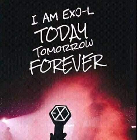 Pingu_Soo ~EMPATHY~ tweet media
