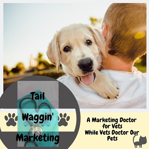 shinobi_tactics's tweet photo. #Veterinarians! 🐾 @shinobi_tactics announces #TailWagginMarketing #socialmedia marketing agent to help you scale your fur-tastic services! For consultation or interest in services to get more paying customers to your clinic message us or email is in the description! Thank you 🙏 https://t.co/L4h5mA7l6i