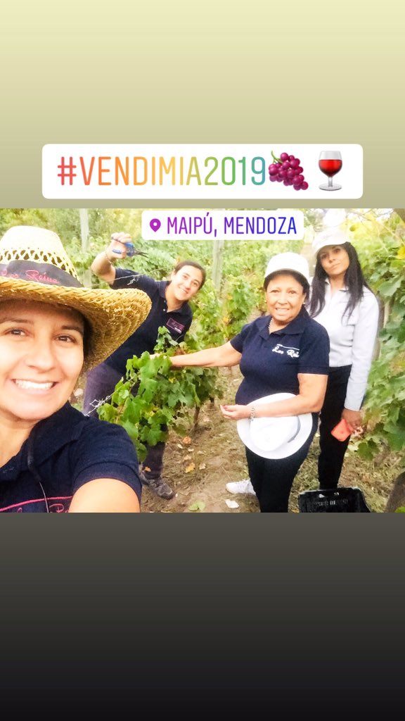 VinoLosReina's tweet image. #Vendimia2019👏👏👏#FelizVendimiaFamilia🍇🍷🍷🍇
#Coquimbito #Maipú #Mendoza 
#Brindamos por el #Vino nuevo🍷