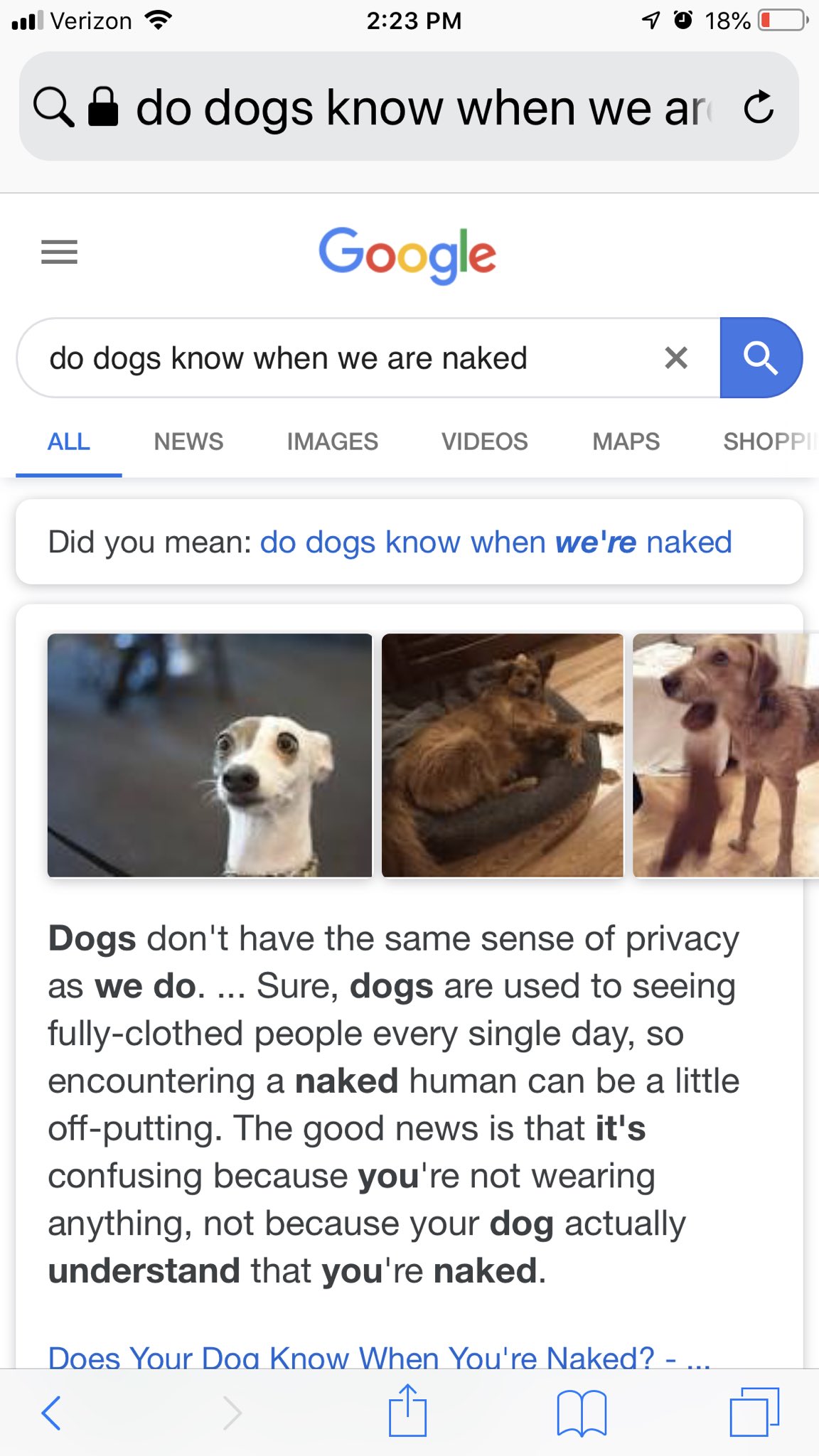do dogs know youre human