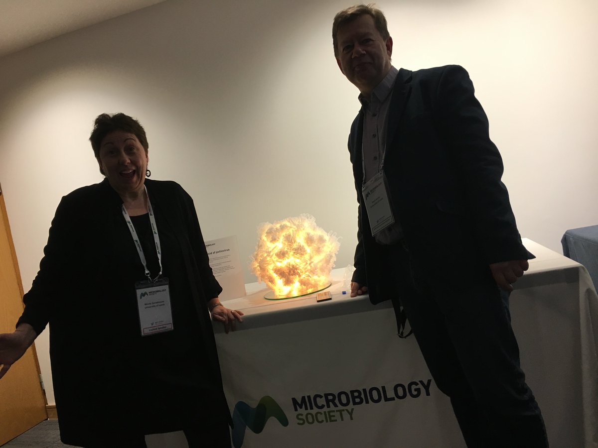 Peter Cotgreave (@petercotgreave) on Twitter photo Come and see this (not infectious) poliovirus capsid created by <a href="/Stonehouse_Lab/">Stonehouse Rowlands Lab</a> next to entrance the exhibition hall <a href="/MicrobioSoc/">Microbiology Society</a> #microbio19 Come and see this (not infectious) poliovirus capsid created by <a href="/Stonehouse_Lab/">Stonehouse Rowlands Lab</a> next to entrance the exhibition hall <a href="/MicrobioSoc/">Microbiology Society</a> #microbio19