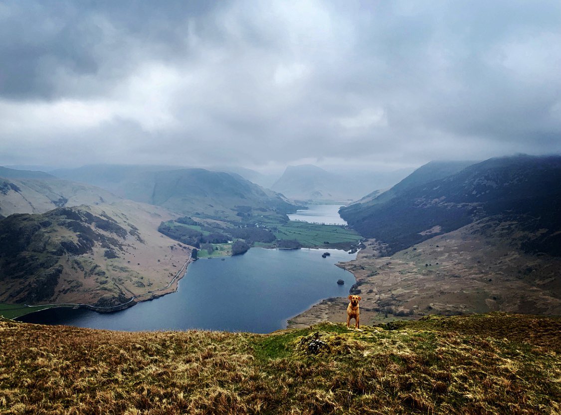 RuthHutchison's tweet photo. Sunday on #Mellbreak 

#cumbria #LakeDistrict #thelakes #cumbrialife #hikingadventures #wainwrights #thelakedistrict #crummock #buttermere https://t.co/biqfiAwVQo