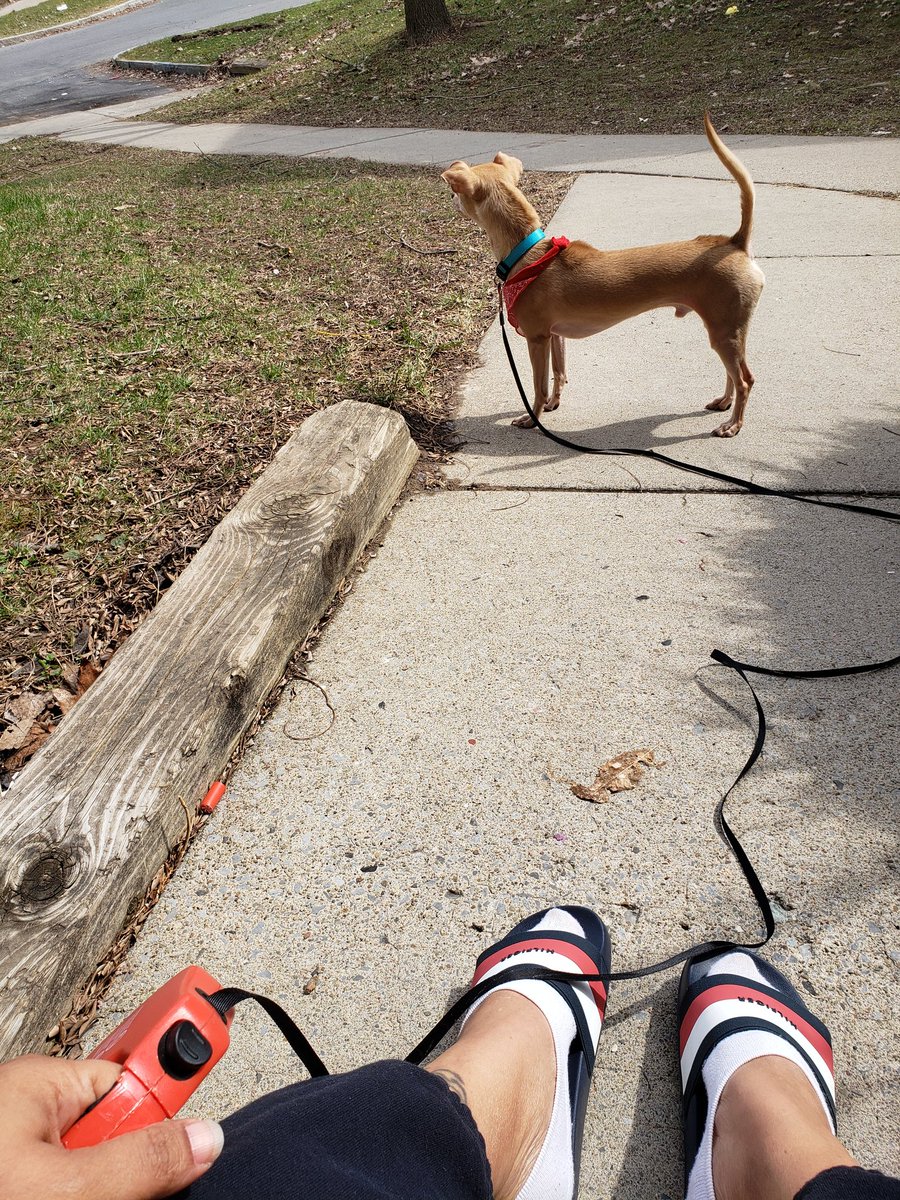 soledith76's tweet image. 🧡🌞🙏