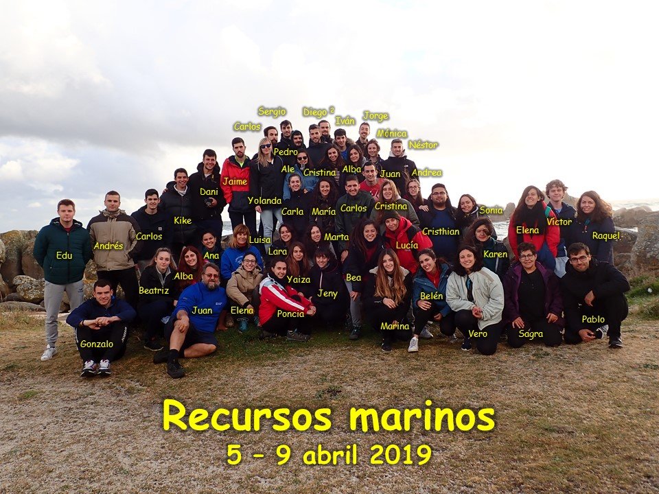 JuanJunoy's tweet photo. Pues esta va a ser la bonita foto de grupo de #recursosmarinos @UAHes en un momento que no llovía

Gente rara que trabaja hasta en domingo. https://t.co/DA5zXoSoOm
