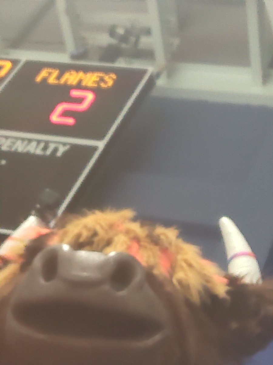 scottishboydy's tweet photo. @ClanIHC @Clangus00 who needs a camera crew when you have a camera moo! 🎥 https://t.co/IxsJ0iSoQv