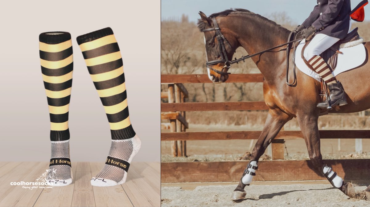 coolhorsesocks2's tweet photo. 🌎 💫 Our Earth Horse riding competition socks, comment if you’d like a discount code!
The Coolhorse competition sock fits comfortably under long boots due to its ergonomic design.
https://t.co/9XoK76u16t https://t.co/r2VeIVgAHn