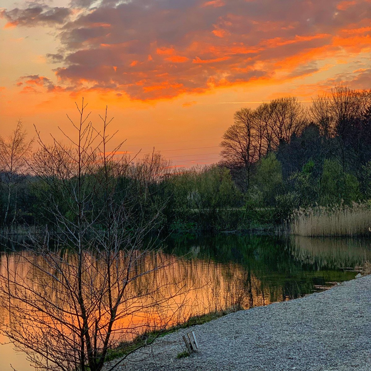 VesterledPut's tweet photo. Godnight 🐟@VesterledPut 
#trout #rainbowtrout #laketrout #seatrout #troutfishing #steelhead #centerpin #fishing #forellen #angeln #floatfishing #flyfishing #new #simms #troutporn #bigfish #stella #coho #forellenangeln #browntrout #petri #putandtake #troutbum #chrome #salmon https://t.co/cJDVnR0MEe