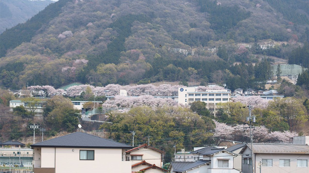 広島文教大学附属高等学校 広島文教大学附属高等学校