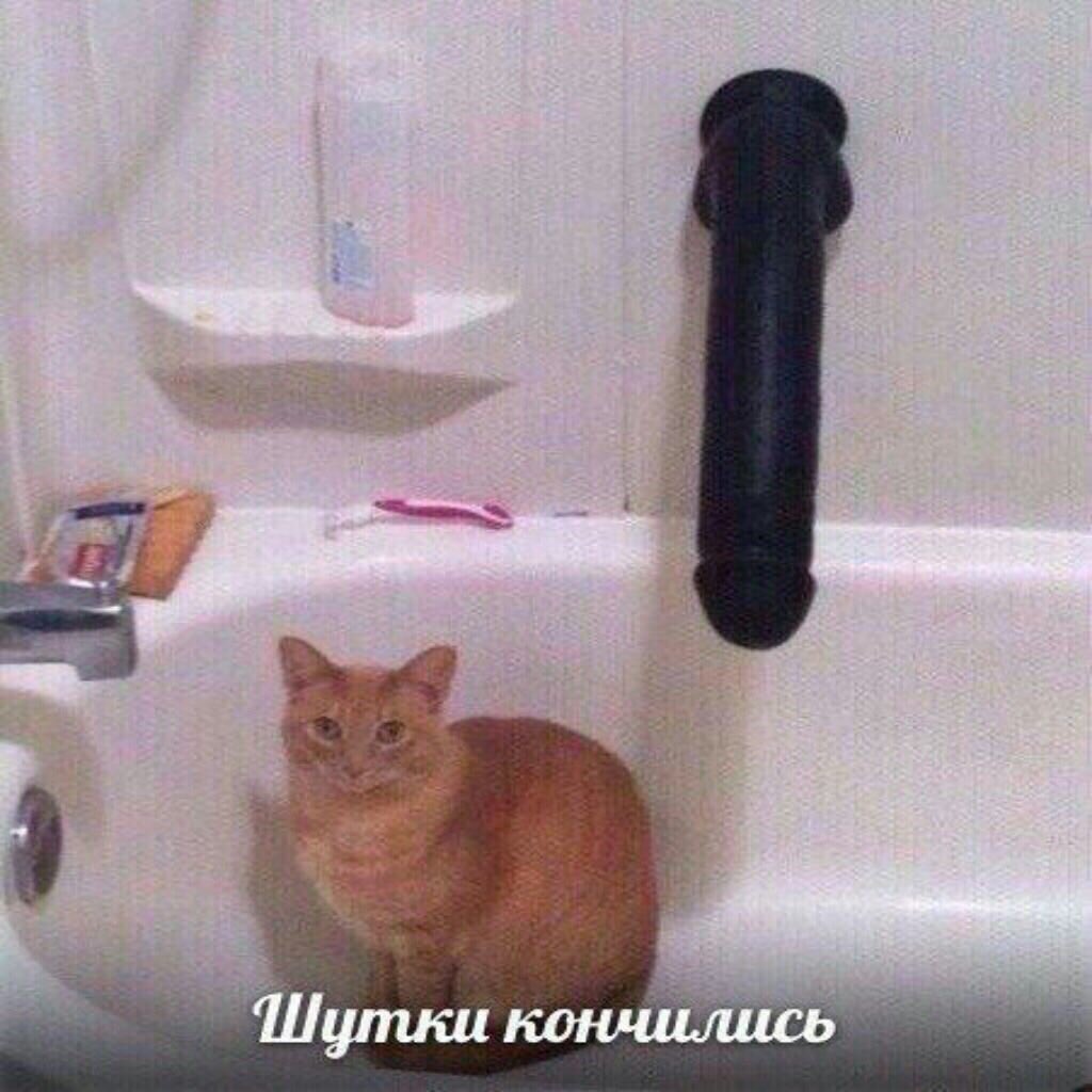 D3ko3r_WkAEuX20?format=jpg&name=medium