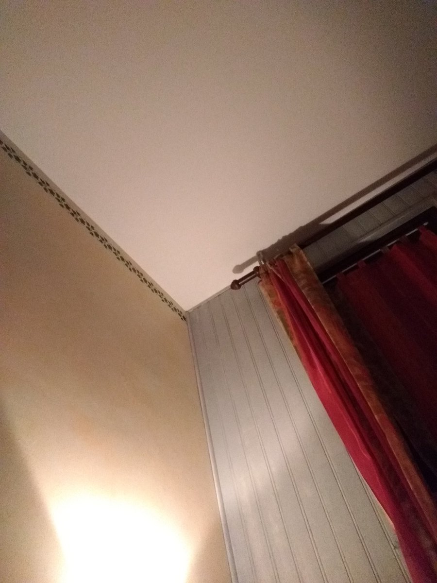 Termona1's tweet photo. Voila voila https://t.co/Q0TzGjkqet