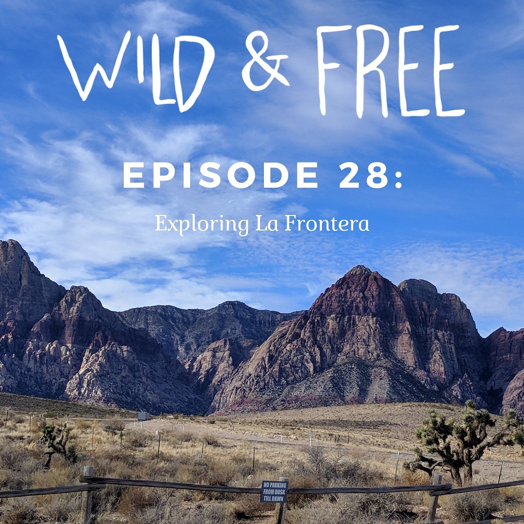 Wild & Free: A Battle Born Podcast tweet media