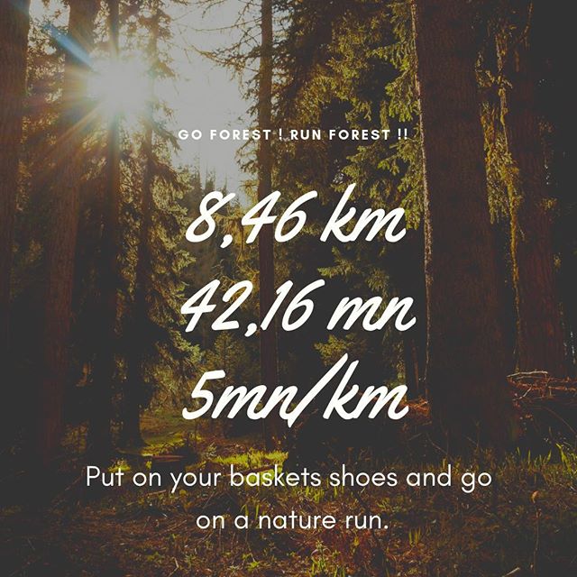 #running #forest #rambouillet #sport #health #nothingIsImpossible