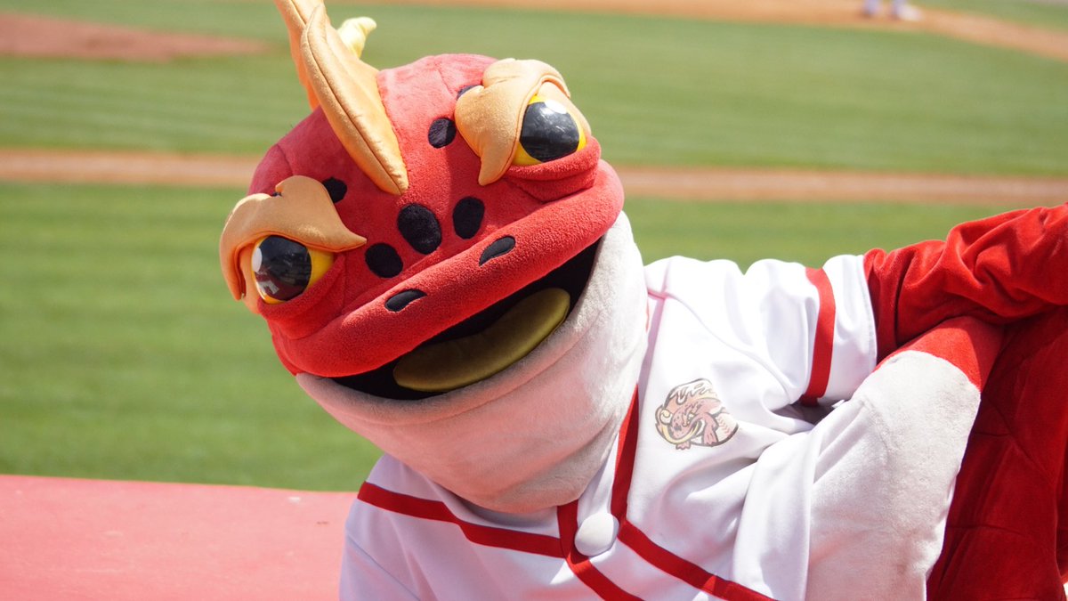 407SportsMedia's tweet image. In the final game of the series, @FireFrogsBB lose to the ‘Tugas 3-5.

📸 @DominickBDiaz