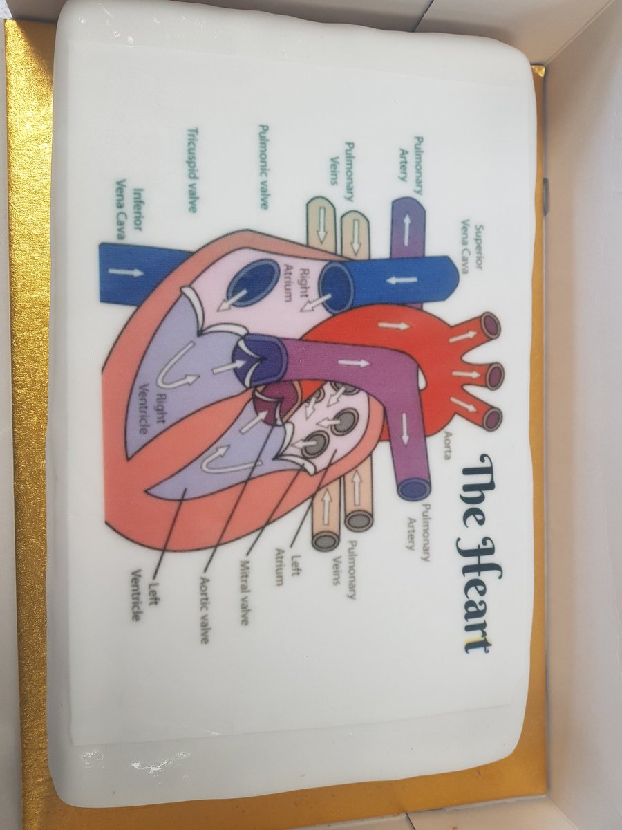 UHHSScience's tweet photo. Here are some fantastic heart models made by Y9.3 👏❤  #creative #homework #heart https://t.co/fi7zOARCCR