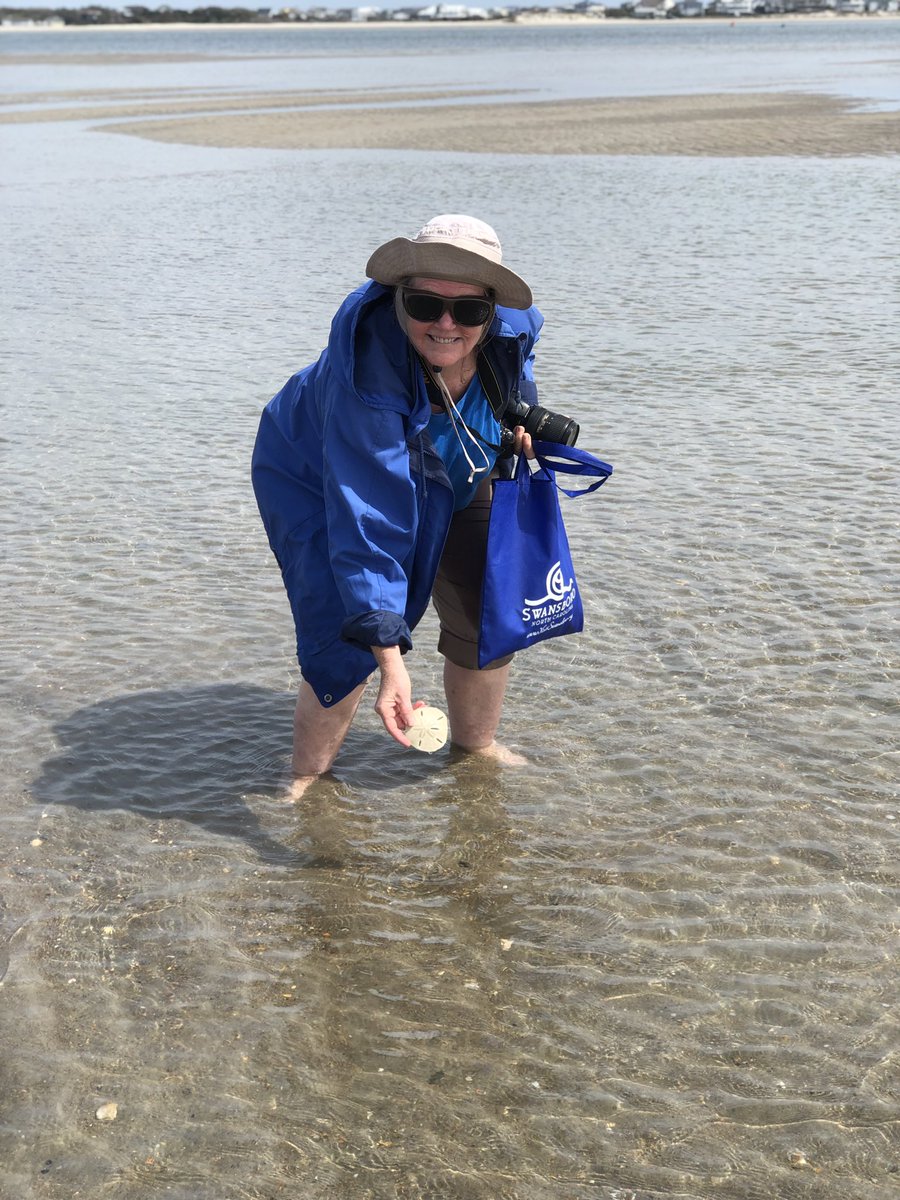 pakpr's tweet photo. #OnlyInOnslow thanks for a great afternoon of shelling for whole sand dollars and welk shells on Bear island. https://t.co/EWmHR6eNgd