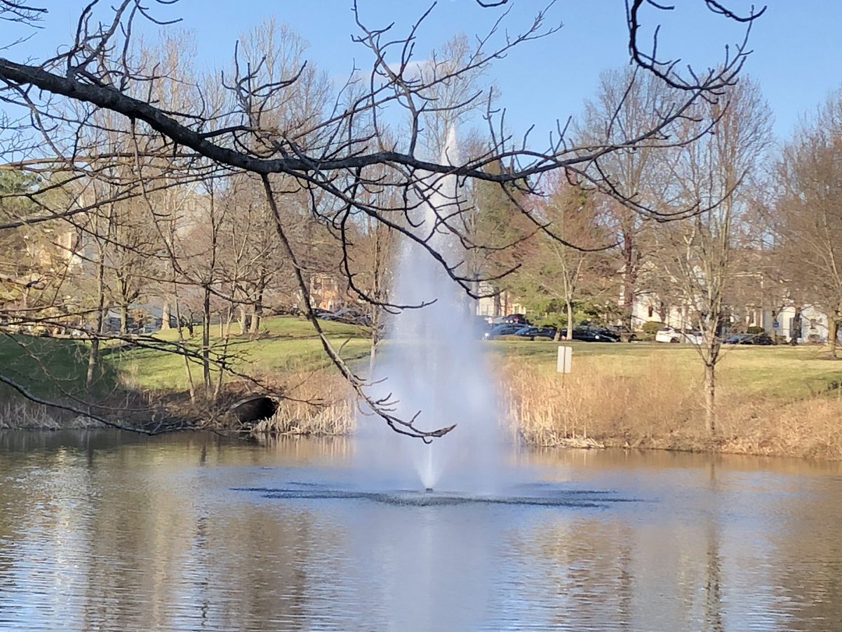 The fountains have erupted!