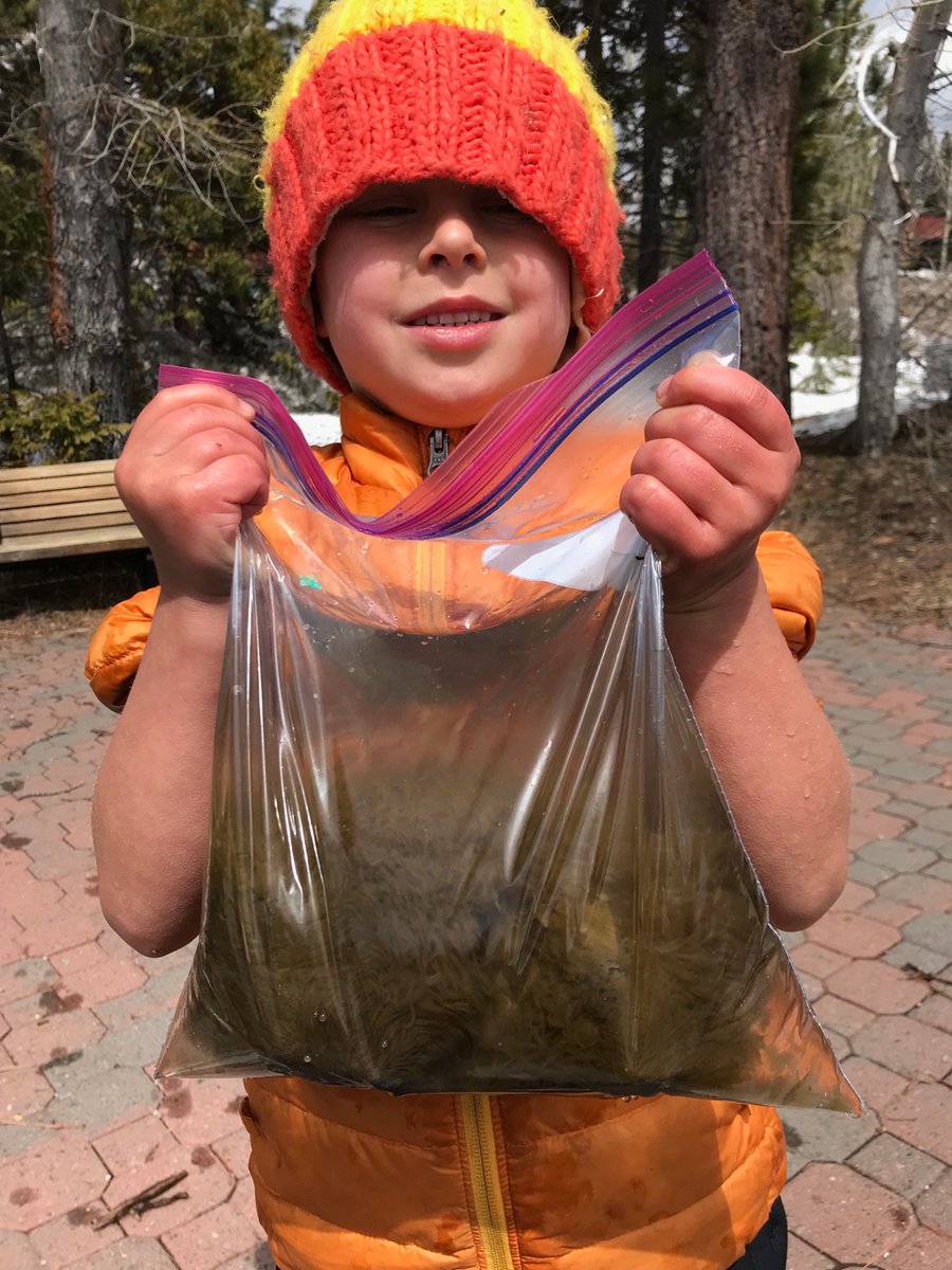 fluidlakes's tweet photo. Young scientist sampling for periphyton in 8 degree C water in Lake Tahoe! ⁦@UCD_TERC⁩ ⁦@ProfessorTahoe⁩ https://t.co/Zf5QtZGalS