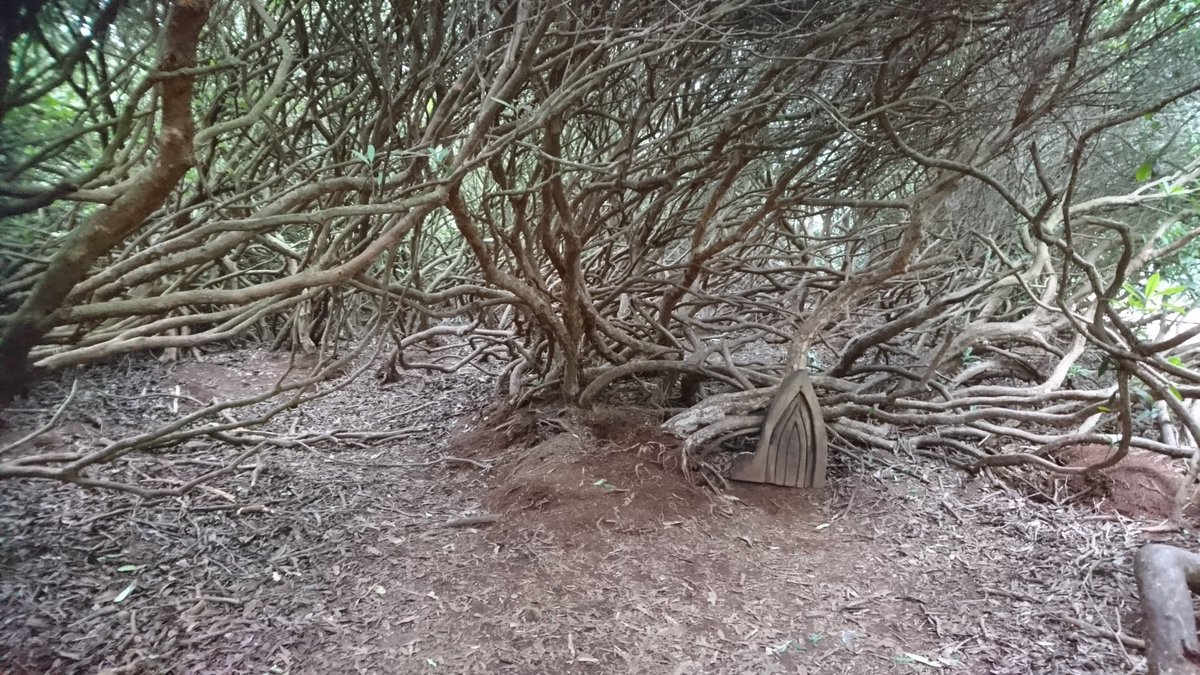 Rushmere Country Park is a fantastic #familydayout, dogs included. There's loads of hidden paths and fairy doors to explore. Entry is free. Parking £3 all day
freetimewiththekids.com/2019/01/17/rus…
#dunstable #Bedfordshire