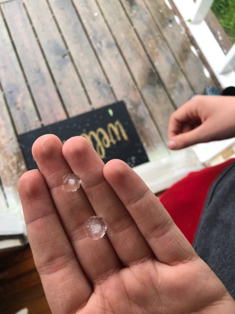 Here is a picture of pea-sized hail in Carlyss submitted by Valerie Louviere.  If you have any pictures to submit feel free to do so using our KPLC First Alert Weather app, or here on Facebook...