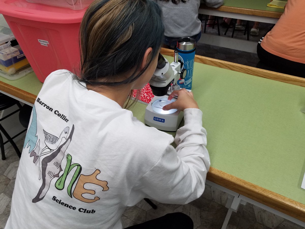 bcmarinescience's tweet image. Our BCHS/NHS KeyLargo Marine Lab field trip is amazing. @NaplesHS @BarronCollier @CollierScience #marinelabkeylargo